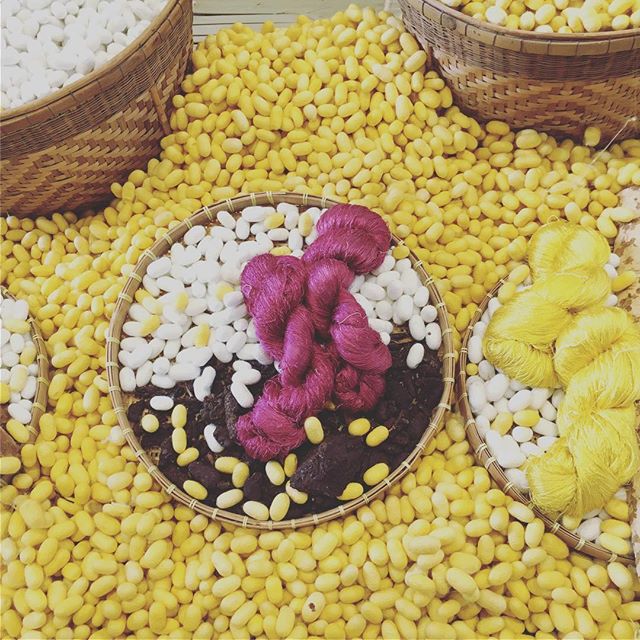 サンポートでやっている、瀬戸内アジア村に来ました。繭から糸に紡ぐのと、手織りの実演とをしていました。日本や中国の繭は白いのですが、タイの繭は黄色いらしく、それをハーブに付けて白くしてから染めるそうです。 ・・・#瀬戸内アジア村 #瀬戸内国際芸術祭 #手紡ぎ